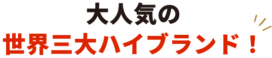 大人気の 世界三大ハイブランド！